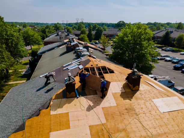 Best Roof Gutter Cleaning  in Mount Hermon, VA
