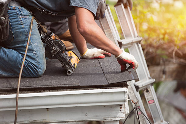 Best Gutter Installation and Roofing  in Mount Hermon, VA